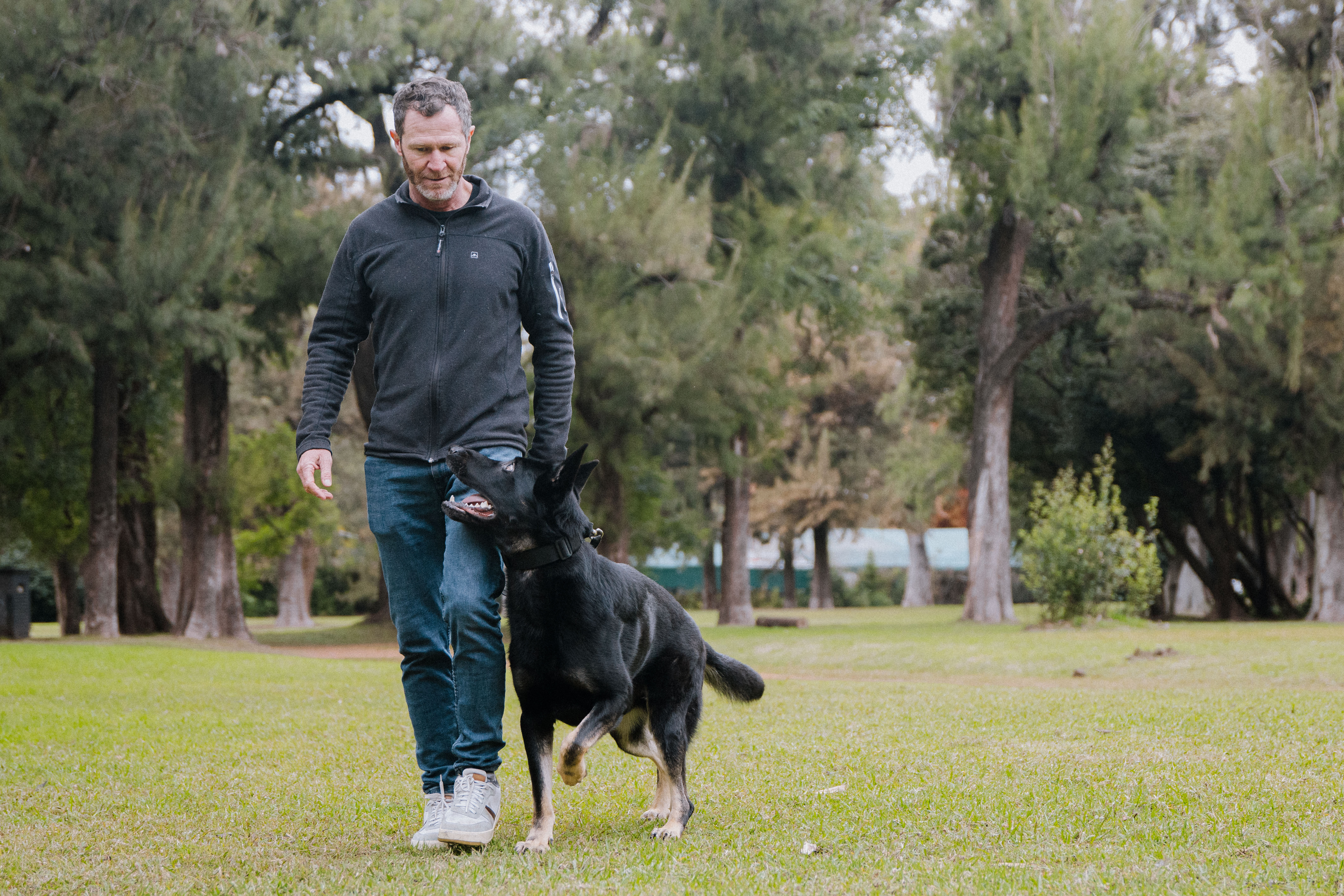 Entrenamiento con perros